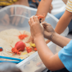 Children Playing with a sensory bin